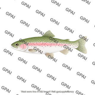 Rainbow trout oncorhynchus mykiss