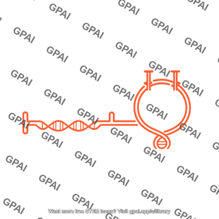 Aav genome scaav
