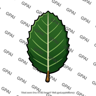 Serrated green leaf