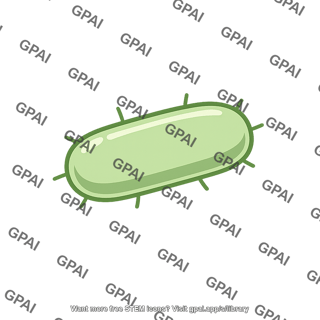 Bacillus bacterium