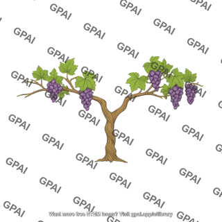 Grape vines