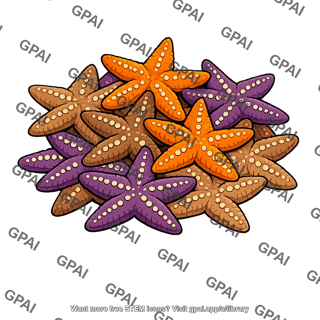 Sea star congregating
