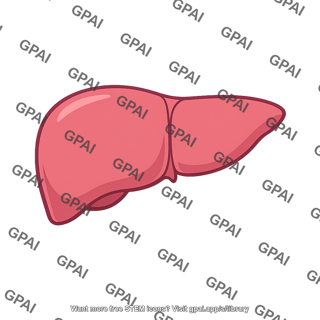 Human liver