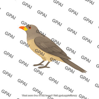 Yellow billed oxpecker buphagus africanus