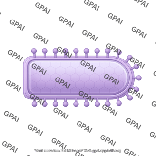 Viral envelope paddle shaped