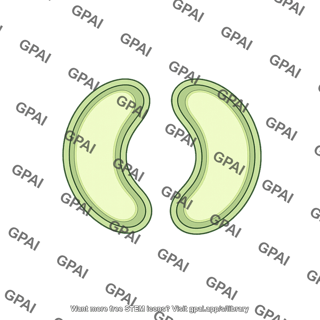 Guard cell open empty