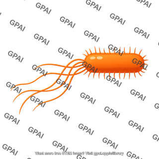 Bacillus flagellum pili