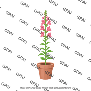 Snapdragon in plant pot