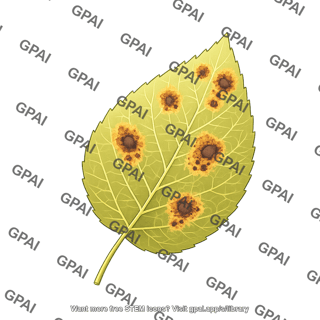 Leaf pathology rust