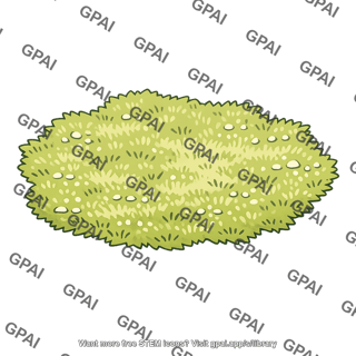 Calcareous grassland patch