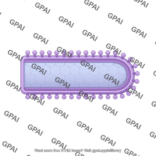 Viral envelope paddle shaped m proteins