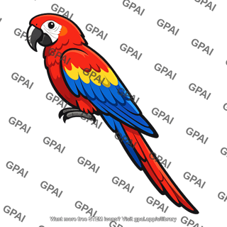 Macaw