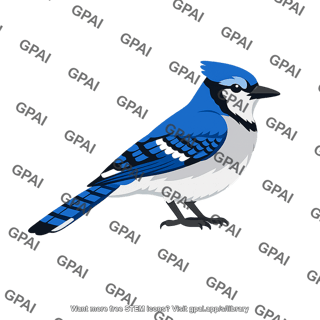 Jay
