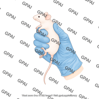 Mouse held by hand