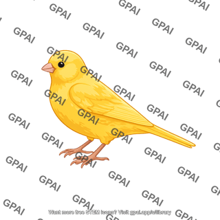 Domestic canary