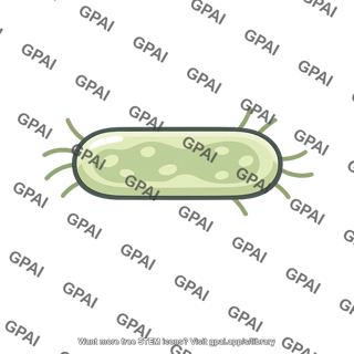 Rod shaped bacterium