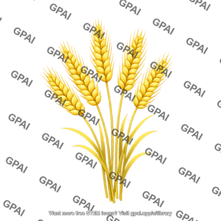 Wheat bundle
