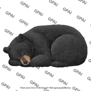 Black bear ursus americanus hibernating 349