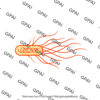 E. coli