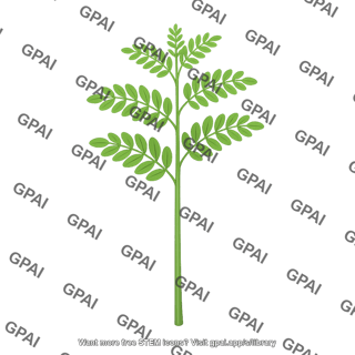 Locust seedling