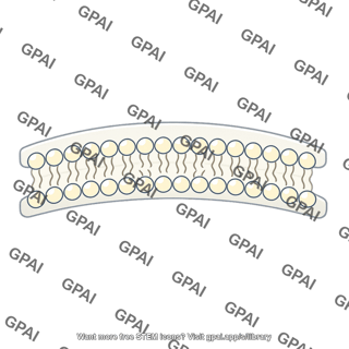 Membrane