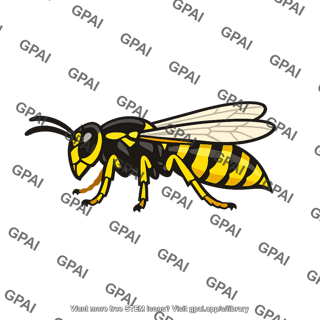Yellow jacket wasp