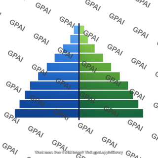 Population age structure diagram