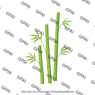 Bamboo
