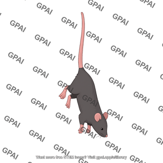 Mouse tail suspension