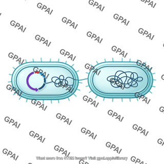 Bacteria with plasmid gram negative