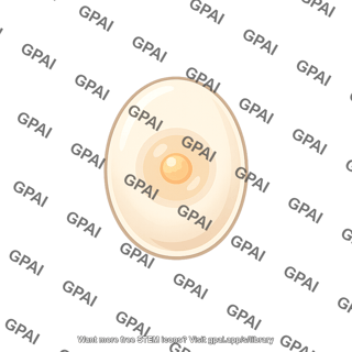 Fertilized egg oval