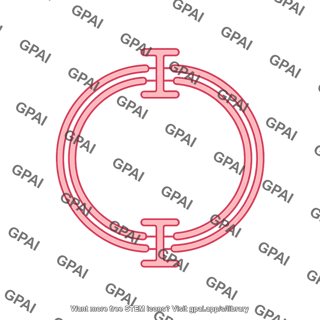 Aav genome circular monomer 1