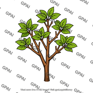 Woody vegetation