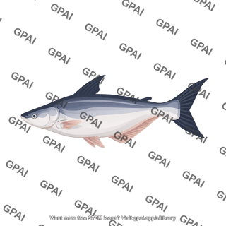 Iridescent shark pangasianodon hypophthalmus