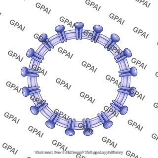 Viral envelope m proteins