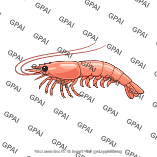 Shrimp