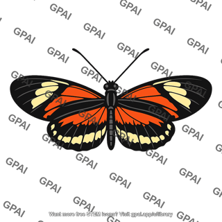 Heliconius numata butterfly