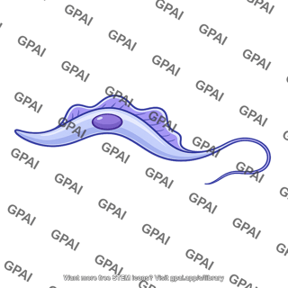Trypanosome