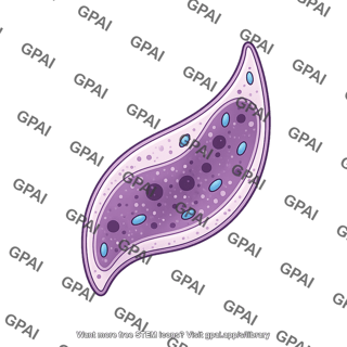 Plasmodium falciparum gamete stage 5 male