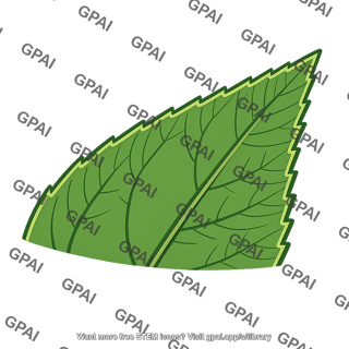 Leaf margin