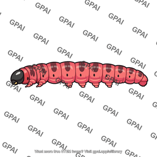 Pink caterpillar
