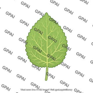 Leaf scalloped