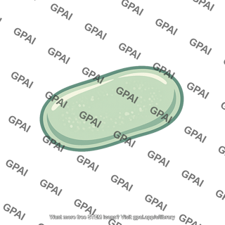 Soil microorganism