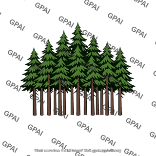 Needle leaved forest
