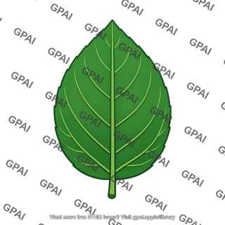 Leaf topside