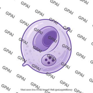 Plasmodium falciparum gamete stage 1