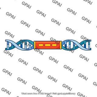 Dna gene segment