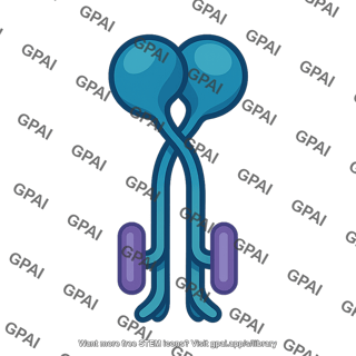 Lassa mammarenavirus lasv glycoprotein