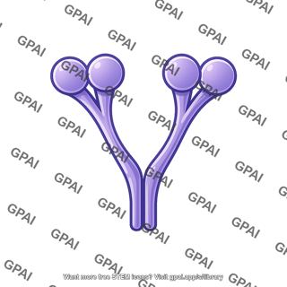Rsv glycoprotein