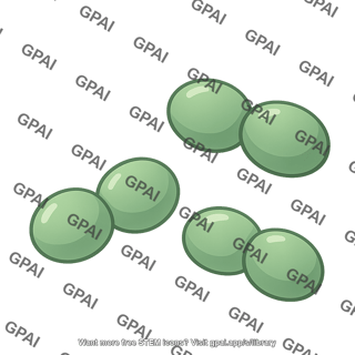 Enterococcus faecalis